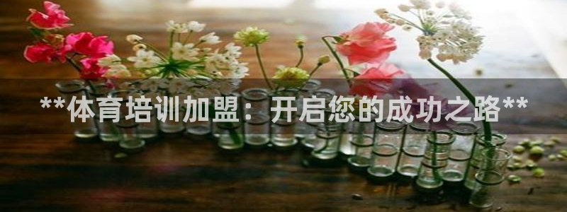 焦点娱乐官方网站首页下载安装：**体育培训加盟：开启