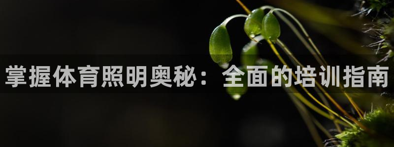 焦点娱乐平台客服电话号码是多少：掌握体育照明奥秘：全