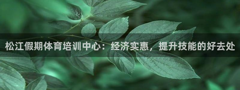 焦点娱乐官方网站下载手机版安装：松江假期体育培训中心：经济实