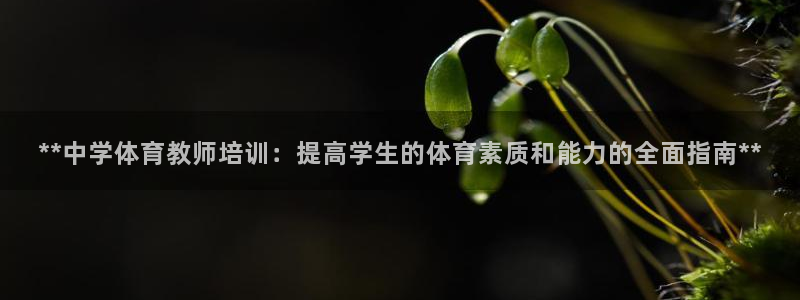 焦点娱乐拉菲11月9日